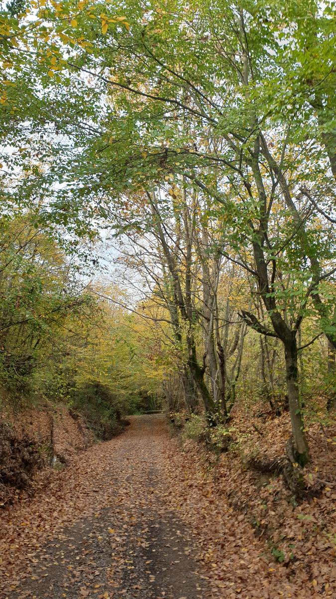 30 Kasım KARAKİRAZ DOĞA YÜRÜYÜŞÜ
