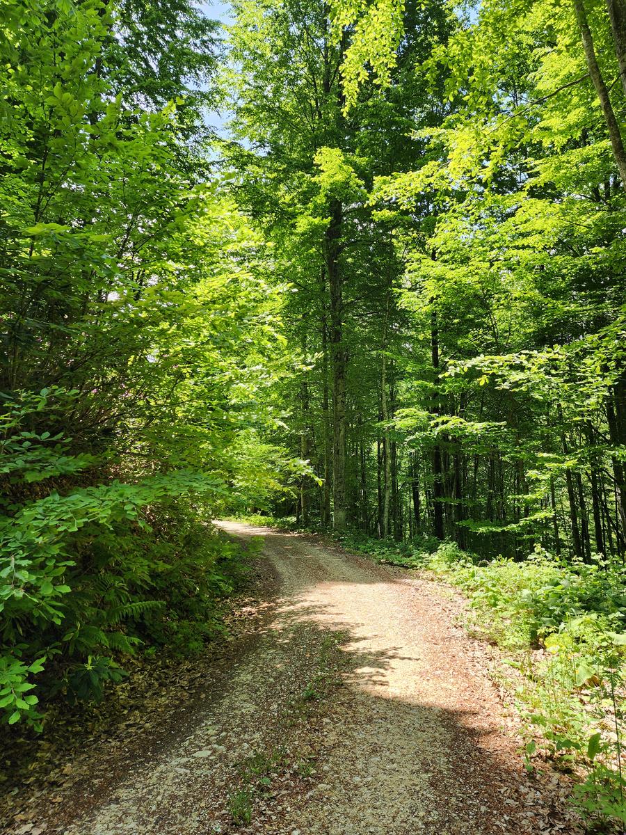 AYTEPE MENEKŞE DOĞA YÜRÜYÜŞÜ