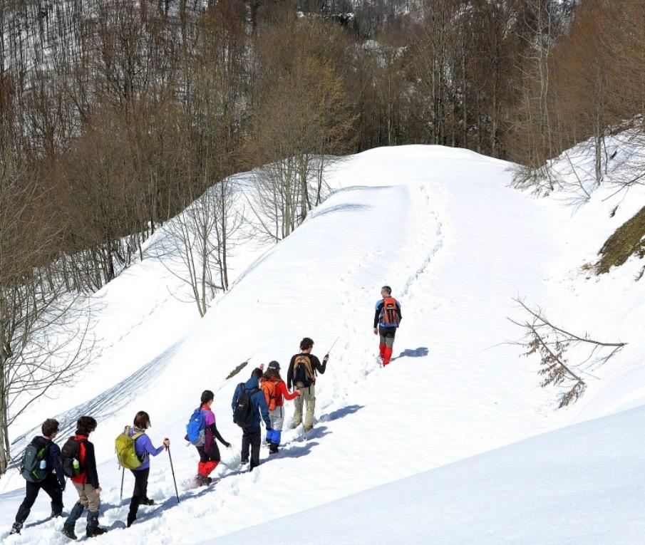 AYTEPE - SOĞUKPINAR DOĞA YÜRÜYÜŞÜ