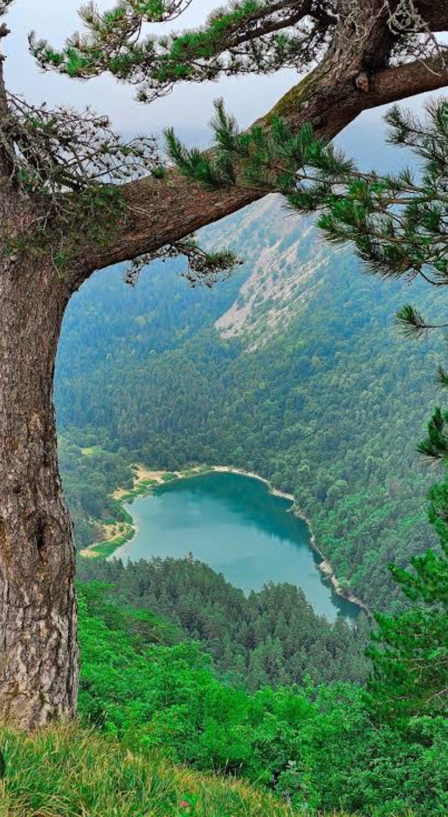 26 EKİM PAZAR, DAVLUMBAZ YAYLASI-SÜLÜKLÜGÖL DOĞA YÜRÜYÜŞÜ