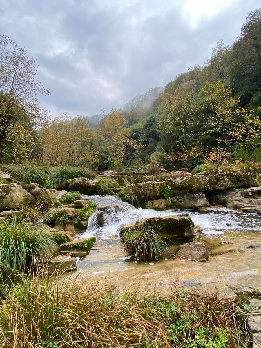 19 Ekim Pazat DEĞİRMEN ÇAYIRI-DENİZLİ GÖLETİ DOĞA YÜRÜYÜŞÜ