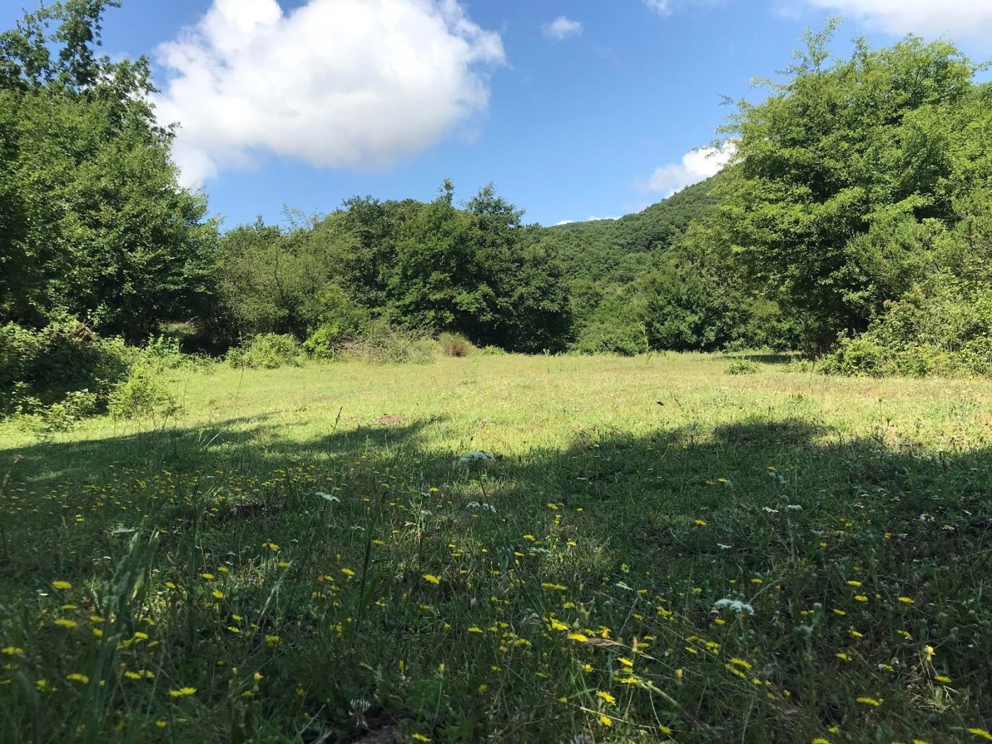 DEĞİRMENÇAYIRI KARGALI ŞELALE DOĞA YÜRÜYÜŞÜ