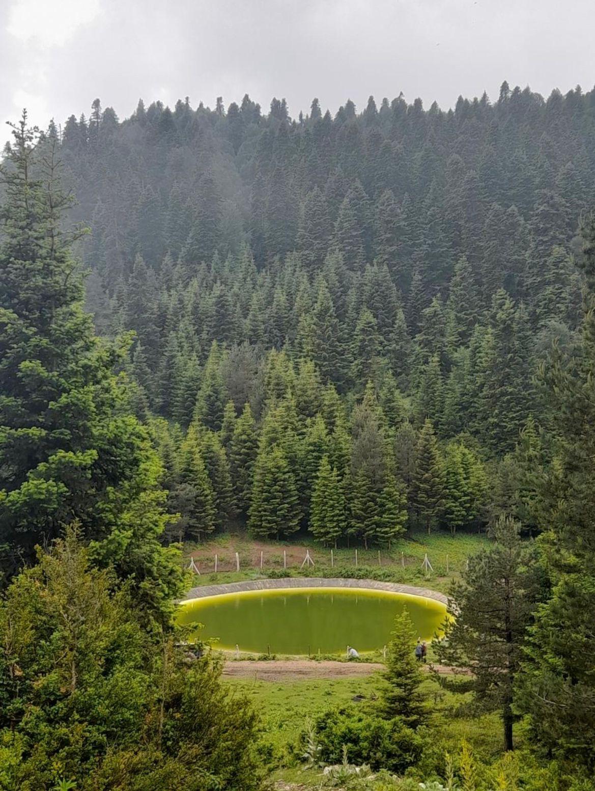 DİKMEN-ÇİĞDEM-TURNALIK YAYLARI DOĞA YÜRÜYÜŞÜ
