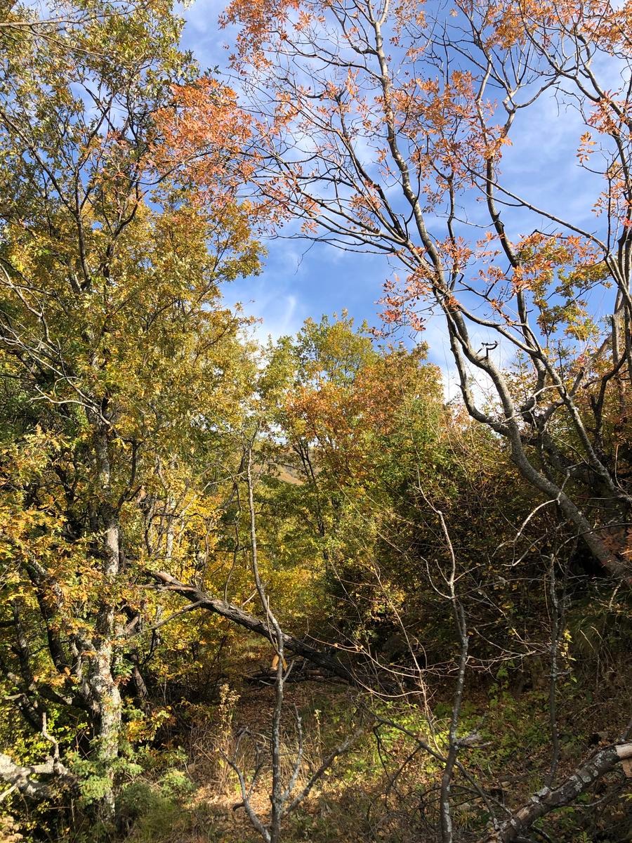 FEVZİYE - GÜRLE DOĞA YÜRÜYÜŞÜ