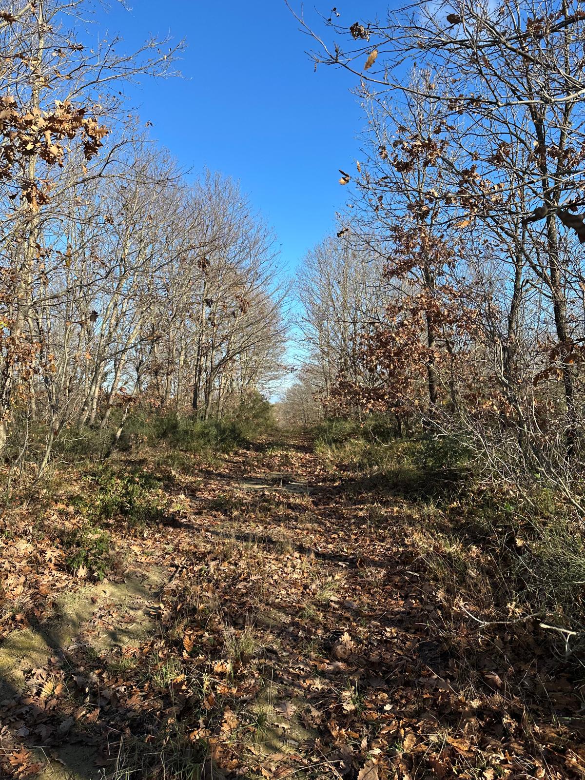 FEVZİYE YENİSÖLÜZ DOĞA YÜRÜYÜŞÜ