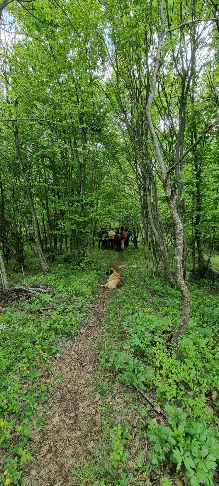 HOŞGÖRÜ YOLU: KIRINTI – MENEKŞE YAYLASI DOĞA YÜRÜYÜŞÜ