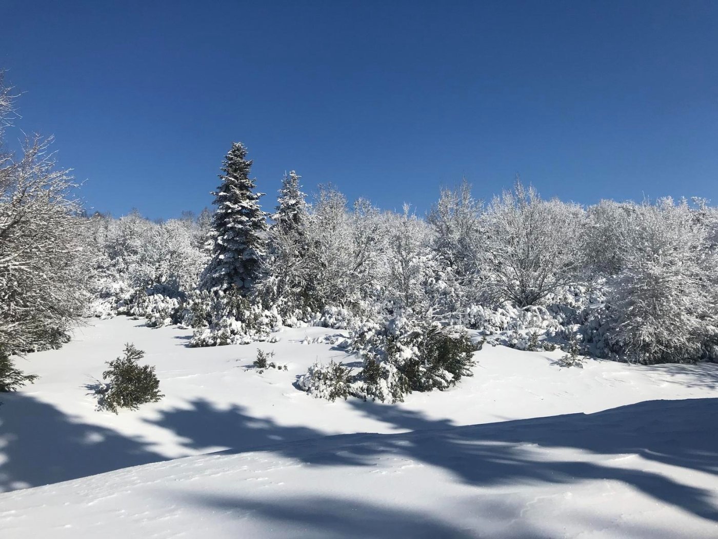 KARAGÖL ACELLE ÇARDAÇIK DOĞA YÜRÜYÜŞÜ
