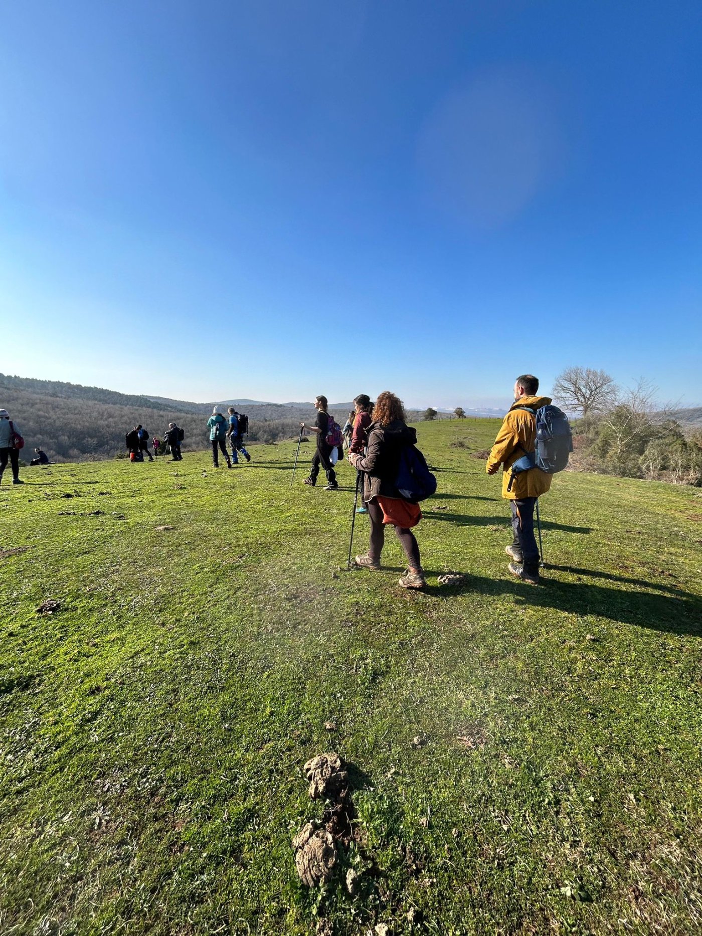 KÖRFEZ HEREKE KALBURCU ORMANLARI DOĞA YÜRÜYÜŞÜ