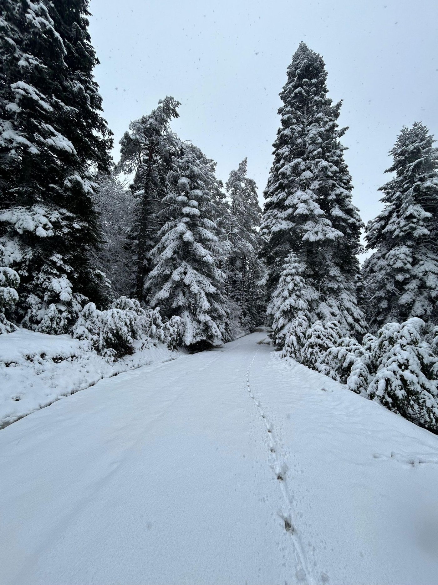 KUZUYAYLA – KARTEPE ZİRVE – GREENPARK OTEL DOĞA YÜRÜYÜŞÜ