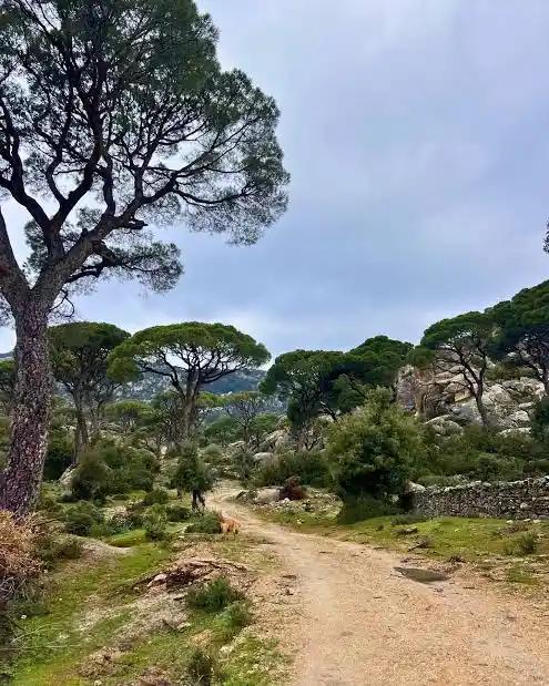 LATMOS  ( BEŞPARMAK DAĞLARI ) TREKKİNG, ZİRVE & KAMP FAALİYETİ