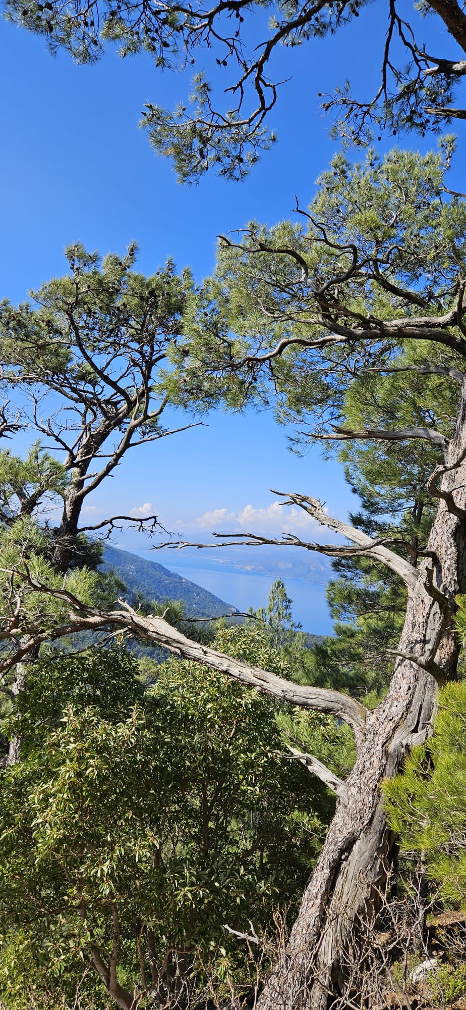 MERYEMANA EFES DİLEK YARIMADASI MİLLİ PARK ŞİRİNCE DOĞA YÜRÜYÜŞÜ VE KÜLTÜR FAALİYETİ