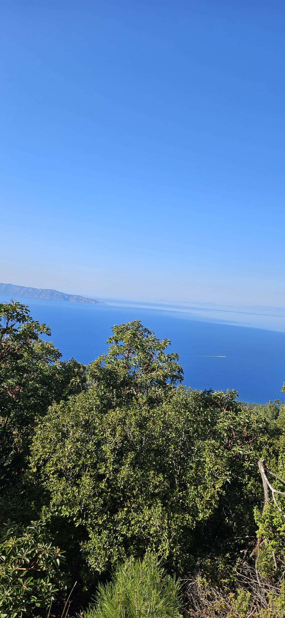 MERYEMANA EFES DİLEK YARIMADASI MİLLİ PARK ŞİRİNCE DOĞA YÜRÜYÜŞÜ VE KÜLTÜR FAALİYETİ