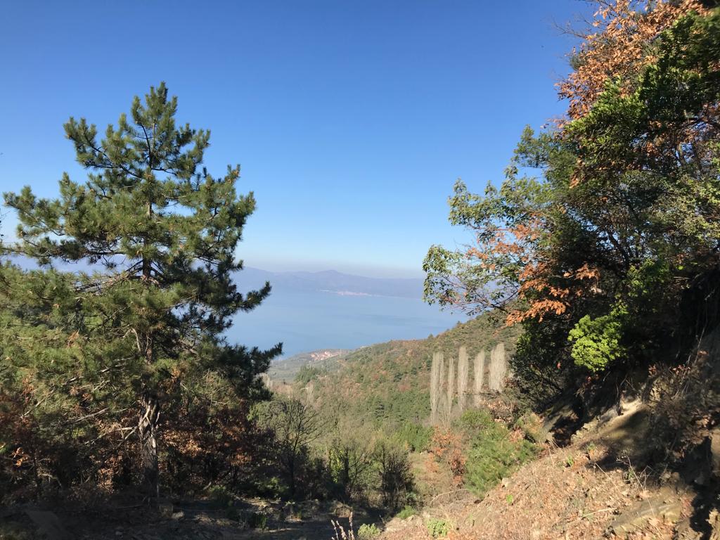 MÜŞKÜLE KÖYÜ DOĞA YÜRÜYÜŞÜ