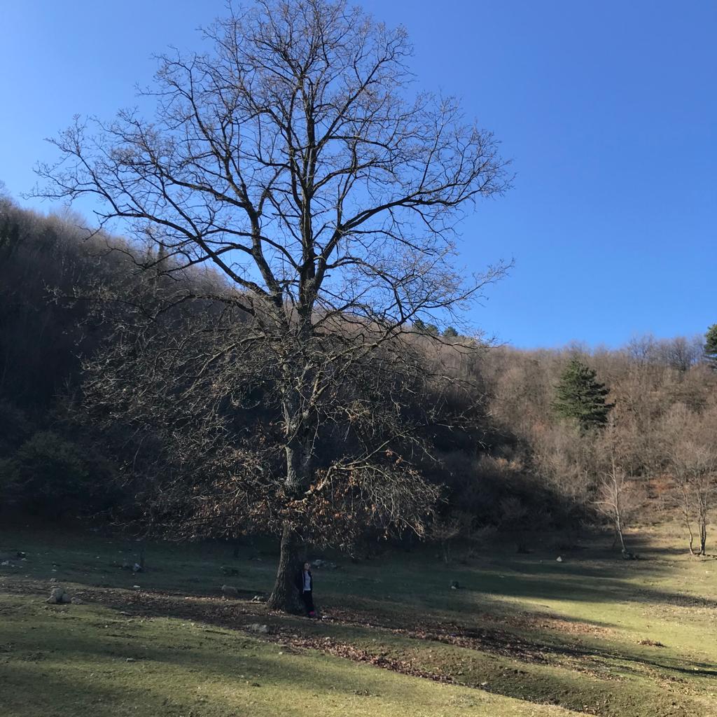 MÜŞKÜLE KÖYÜ DOĞA YÜRÜYÜŞÜ