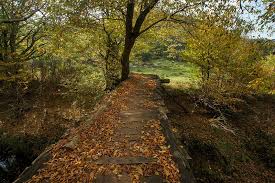 ŞİLE SARIKAVAK KALESİ-FİRAVUN VADİSİ DOĞA YÜRÜYÜŞÜ