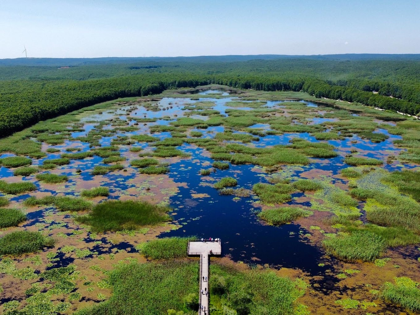 SİNEKLİ TREN DANAMANDIRA TABİYAT PARKI DOĞA YÜRÜYÜŞÜ