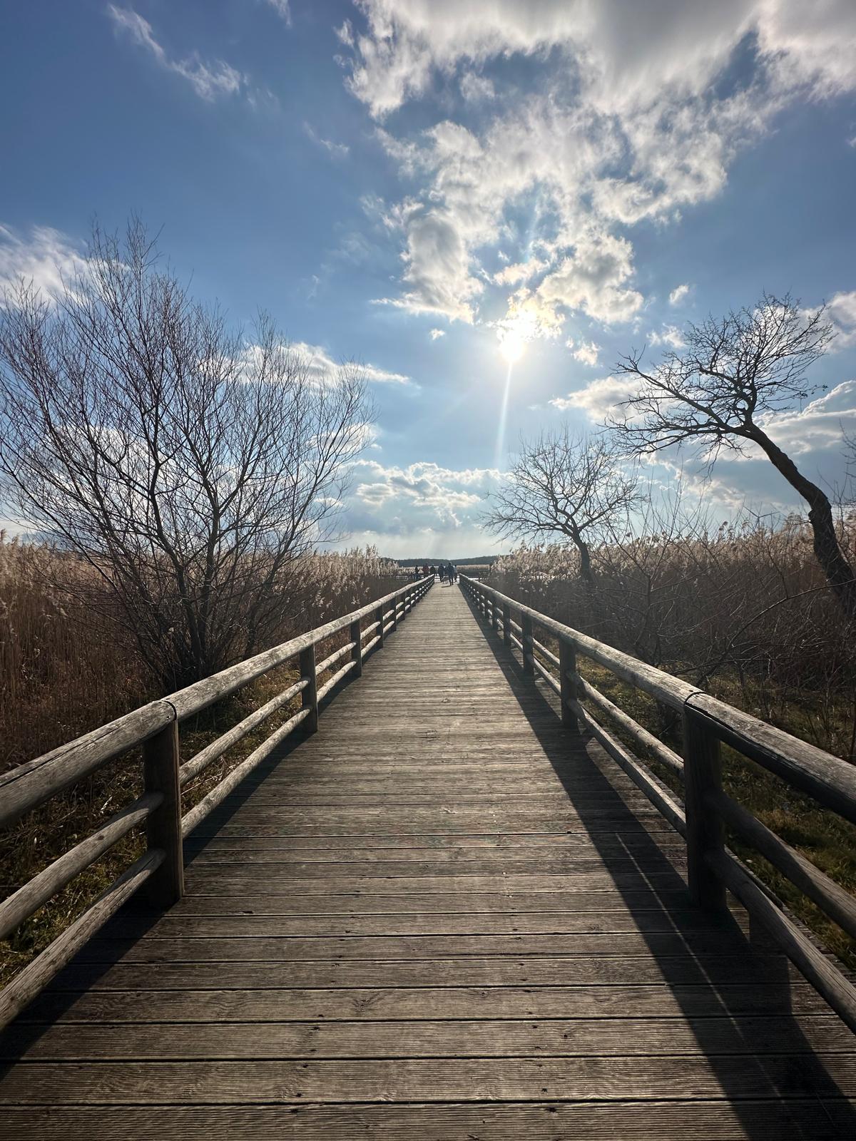 14 Aralık SİNEKLİ TREN İSTASYONU - DANAMANDIRA TABİAT PARKI DOĞA YÜRÜYÜŞÜ