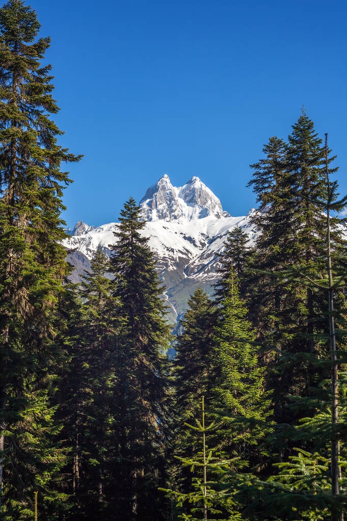 SVANETI MESTIA DOĞA YÜRÜYÜŞÜ