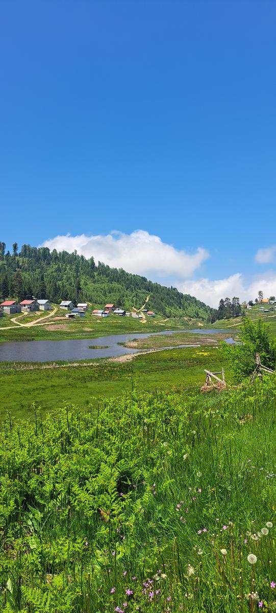 TURNALIK GÖLETİ DIRIM DIRIM YAYLASI DOĞA YÜRÜYÜŞÜ 